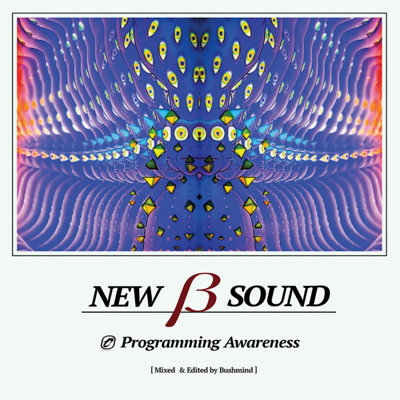 BUSHMIND 'New β Sound'