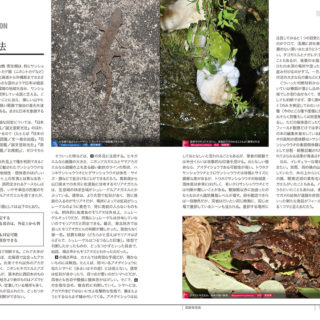 『増補改訂 日本の爬虫類・両生類 生態図鑑』