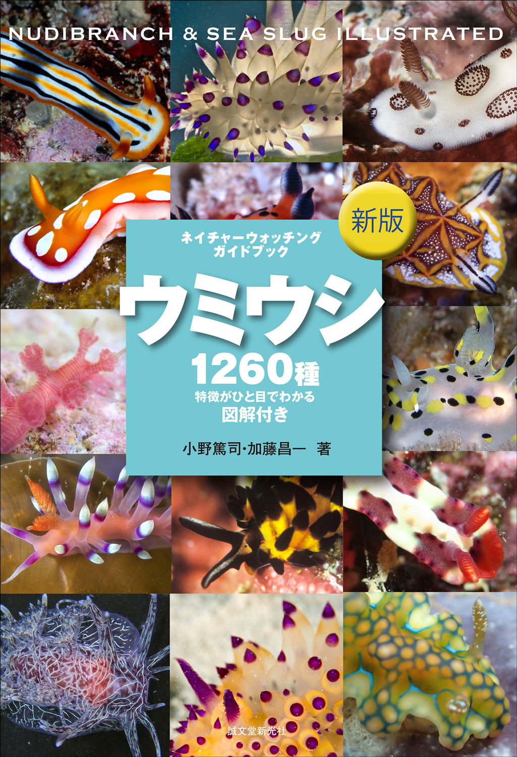 国内1260種を掲載する図鑑 新版 ウミウシ 刊行 ウミウシ撮影テクニックやウミウシ探しのコツなども伝授 Ave Corner Printing