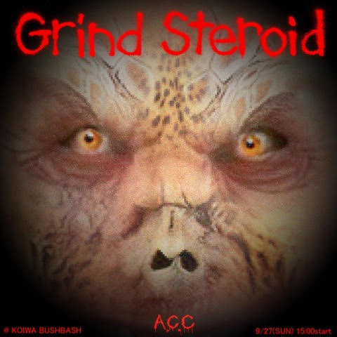 GRIND STEROID vol.2