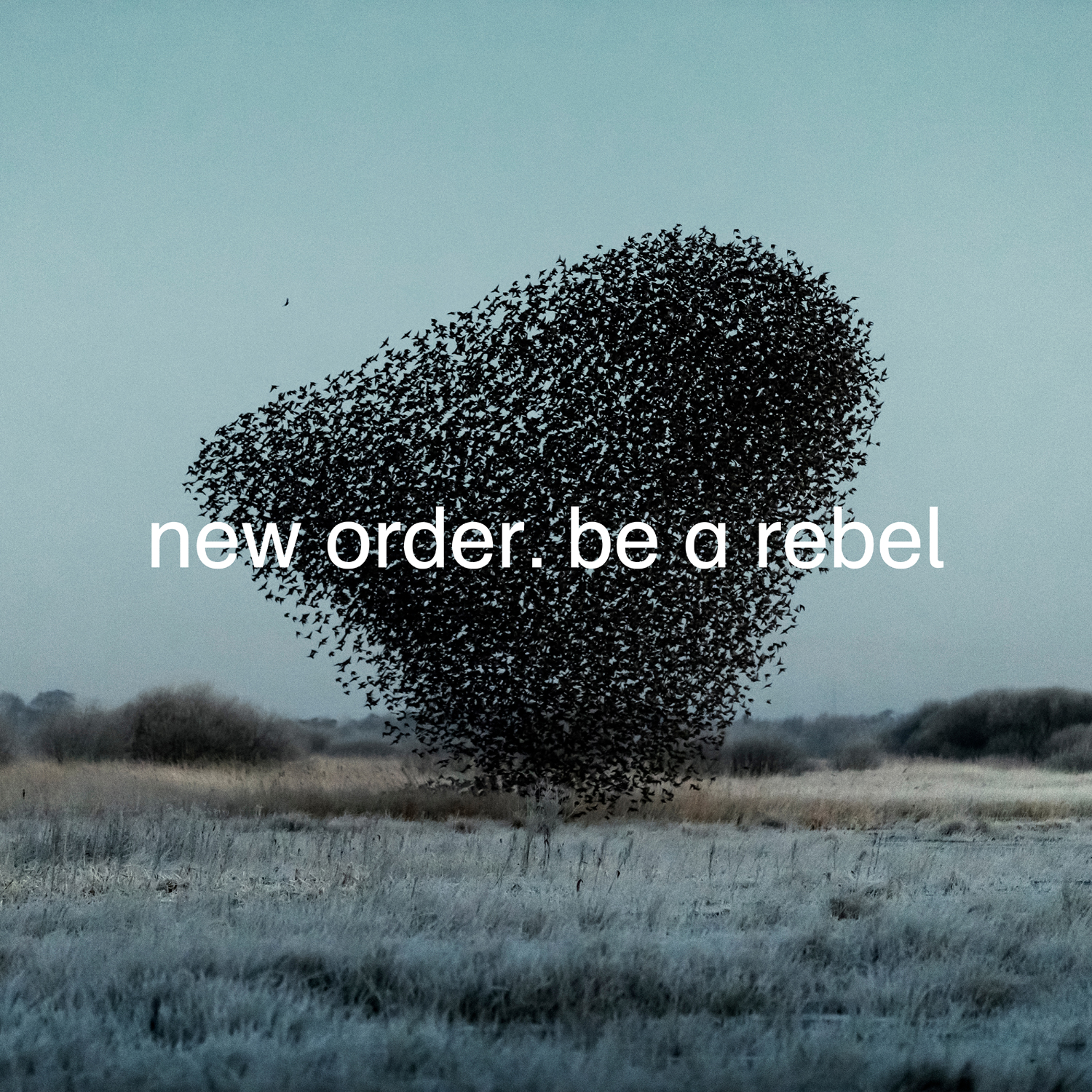 NEW ORDER 'Be a Rebel'