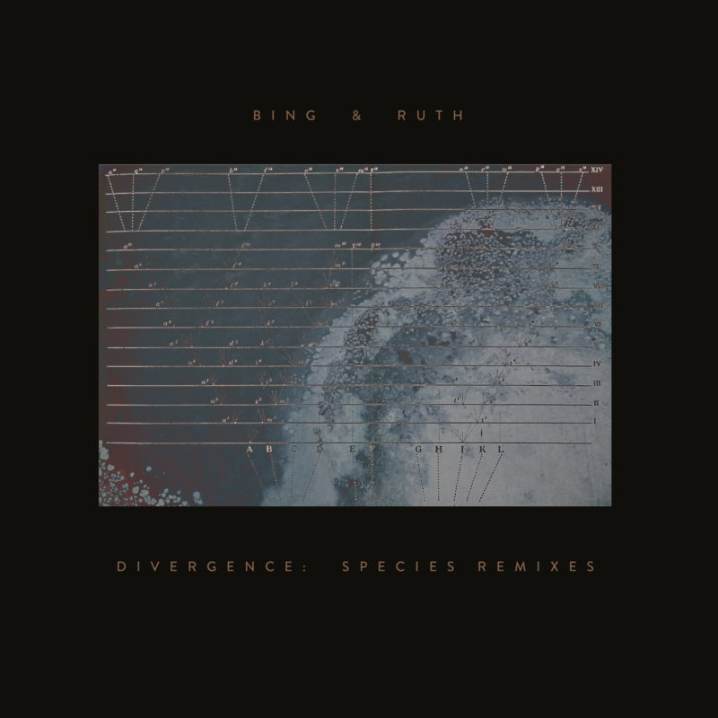 BING & RUTH 'Divergence: Species Remixes'