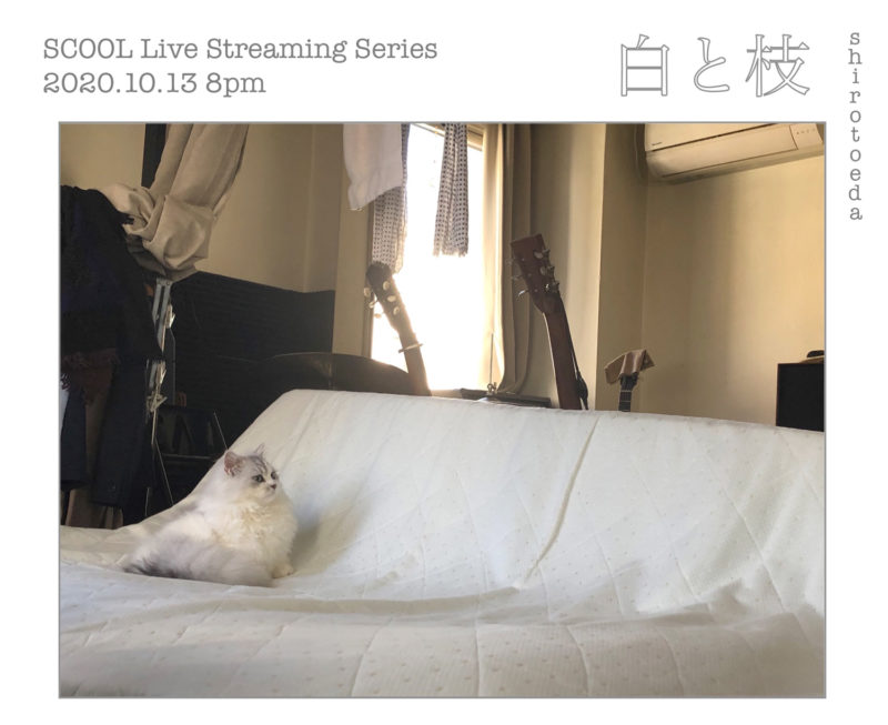 SCOOL Live Streaming Series 白と枝