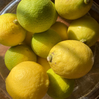 アグネスの5次元パーラー 第2回: 国産レモンのレモネード | Photo ©アグネスパーラー