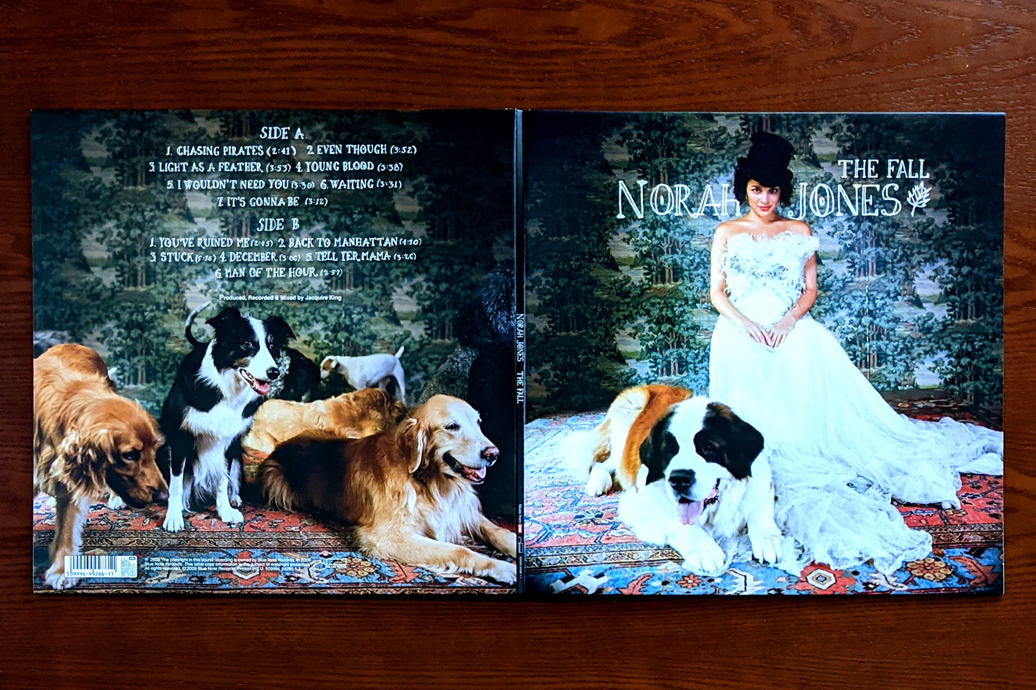 犬 OF TODAY | Norah Jones『The Fall』 | AVE | CORNER PRINTING