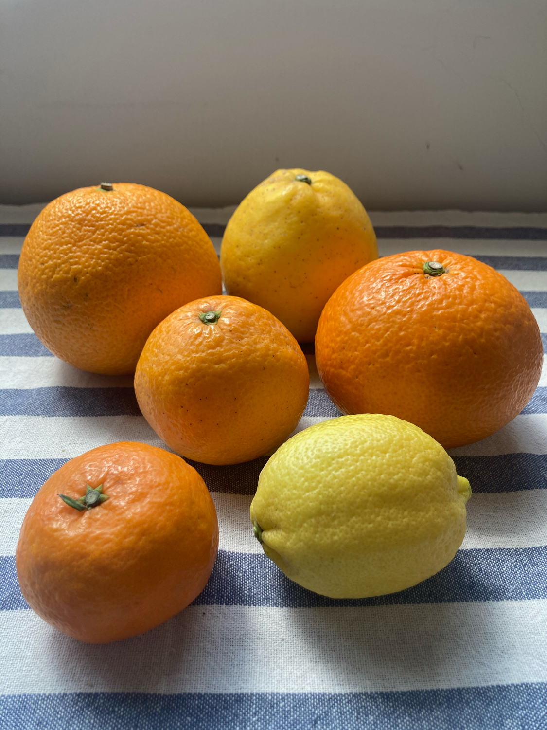 アグネスの5次元パーラー 第7回: 柑橘パラダイス | Photo ©アグネスパーラー