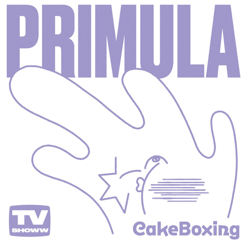 Primula 'Cake Boxing'