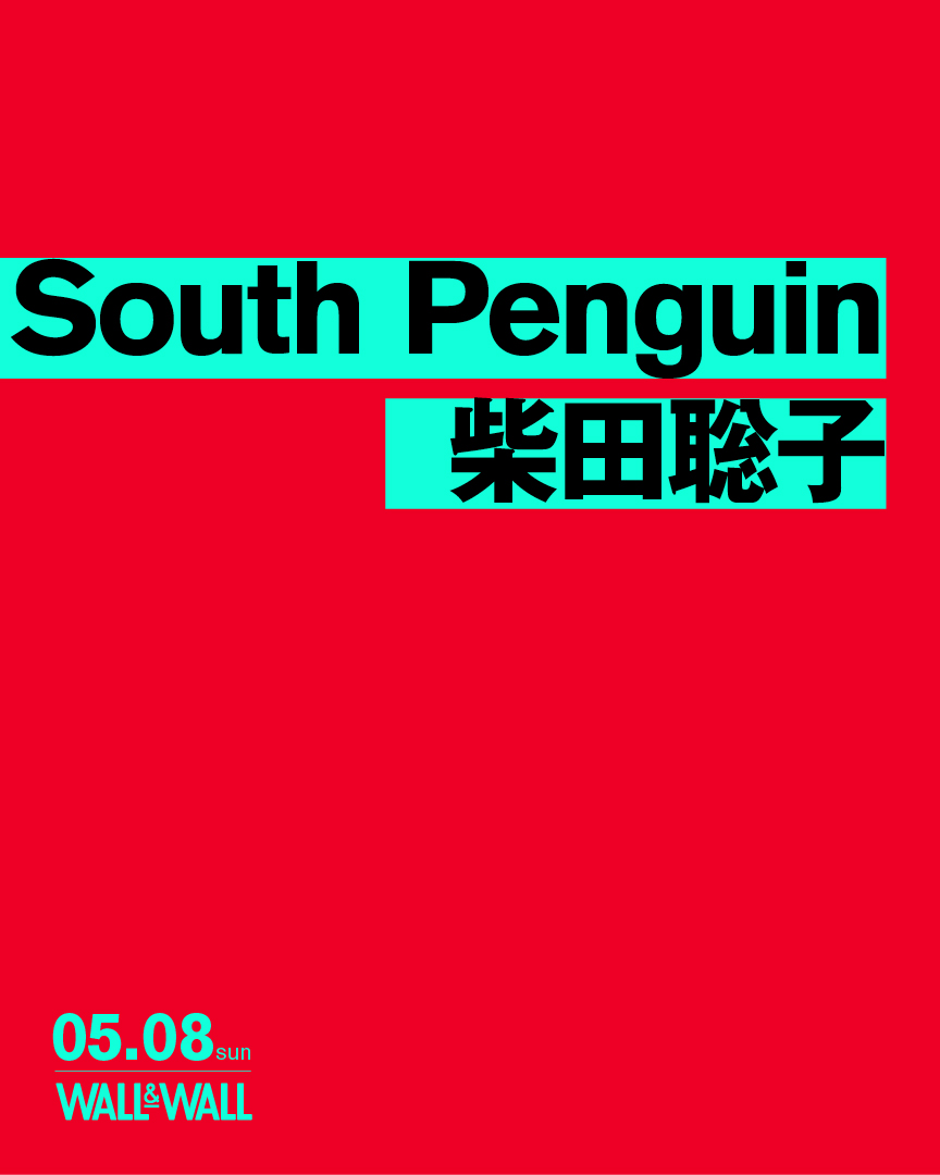 「South Penguin x 柴田聡子」