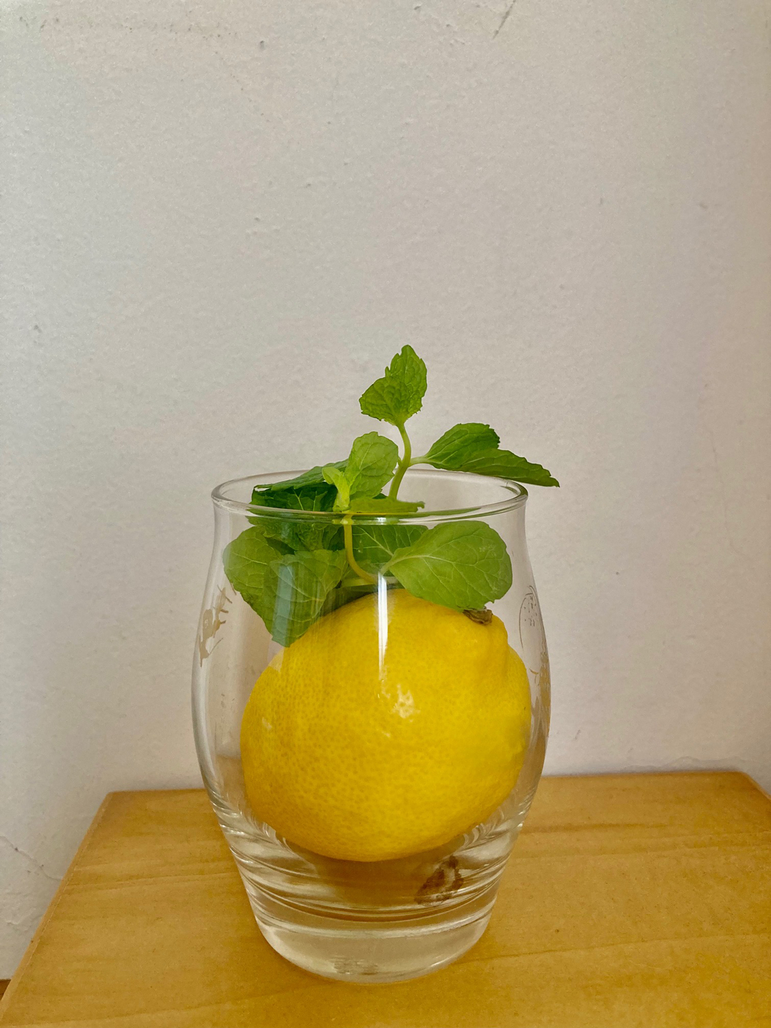 アグネスの5次元パーラー 第20回: レモンと蜂蜜のジュース | Photo ©アグネスパーラー