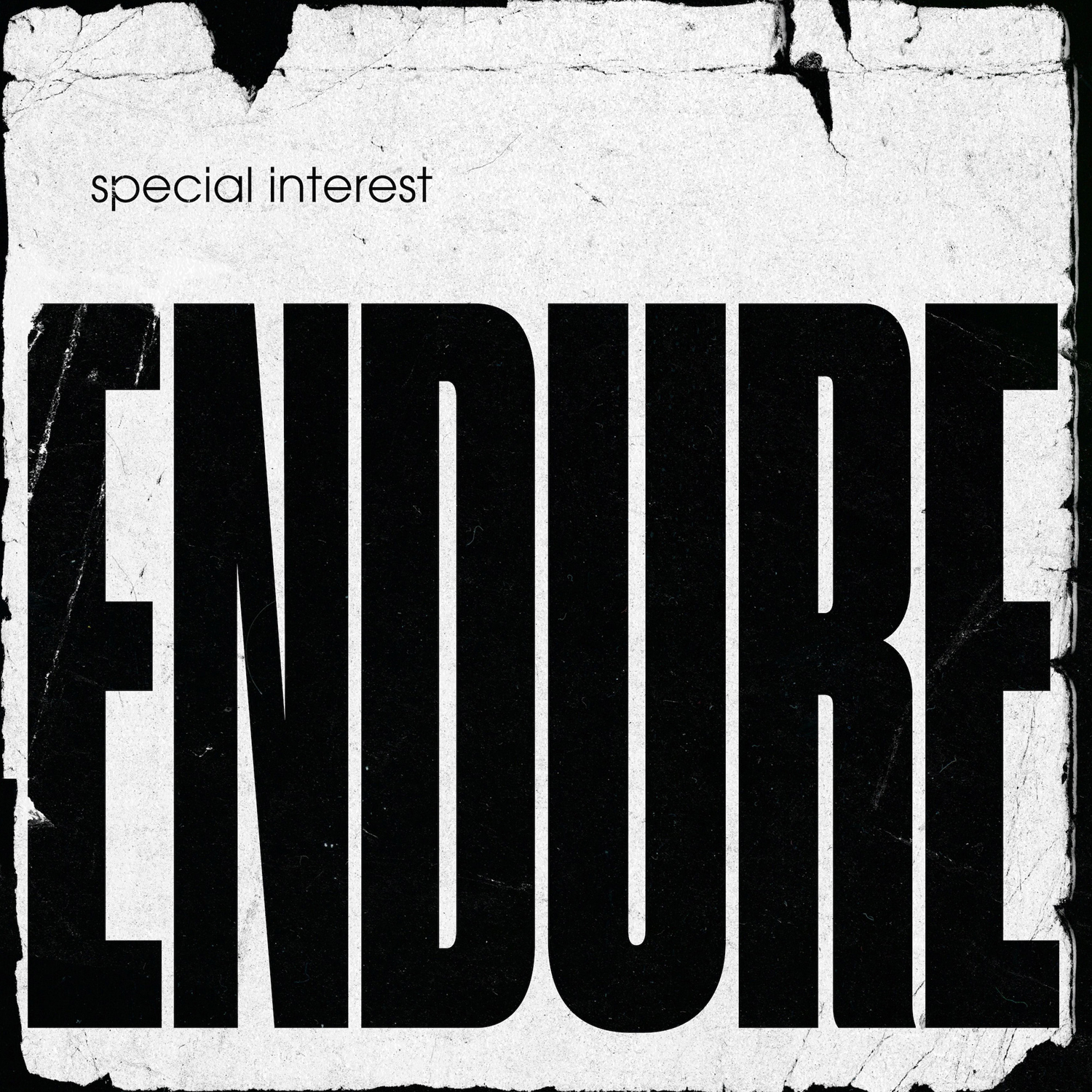 SPECIAL INTEREST 'Endure'