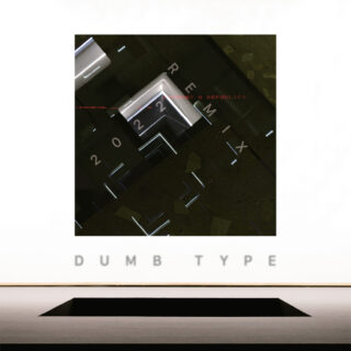 DUMB TYPE | AUDIO VISUAL LIVE 2022: remix