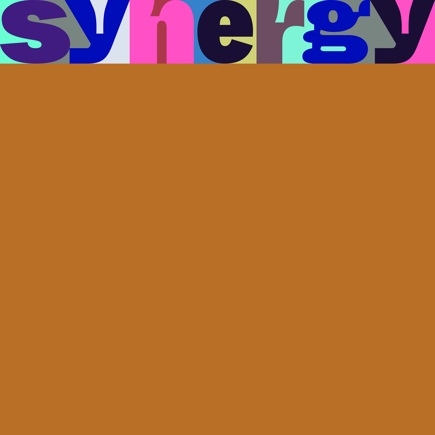 柴田聡子 'Synergy'