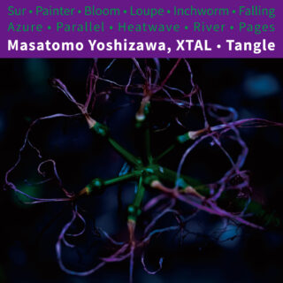 Masatomo Yoshizawa, XTAL『Tangle』