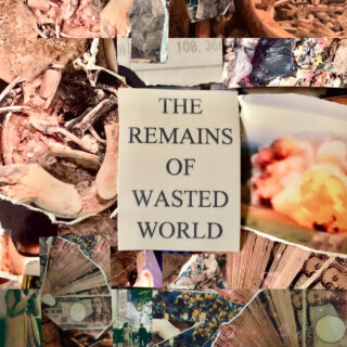 The Remains of Wasted World