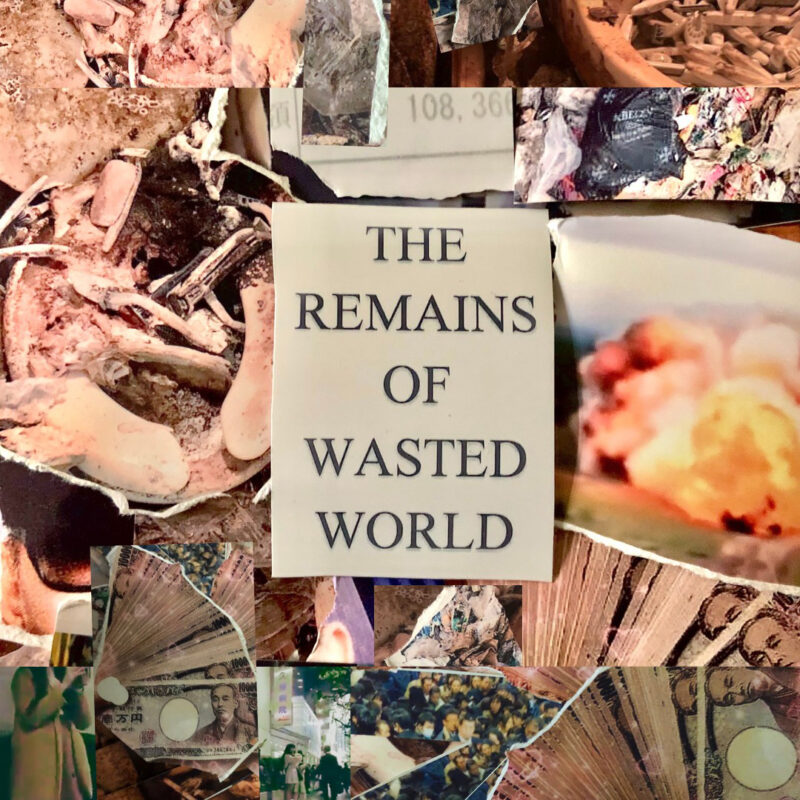 The Remains of Wasted World