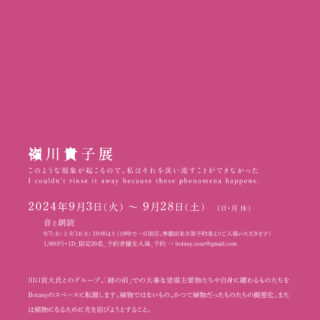 嶺川貴子 展 "このような現象が起こるので、私はそれを洗い流すことができなかった." I couldn't rinse it away because these phenomena happens.