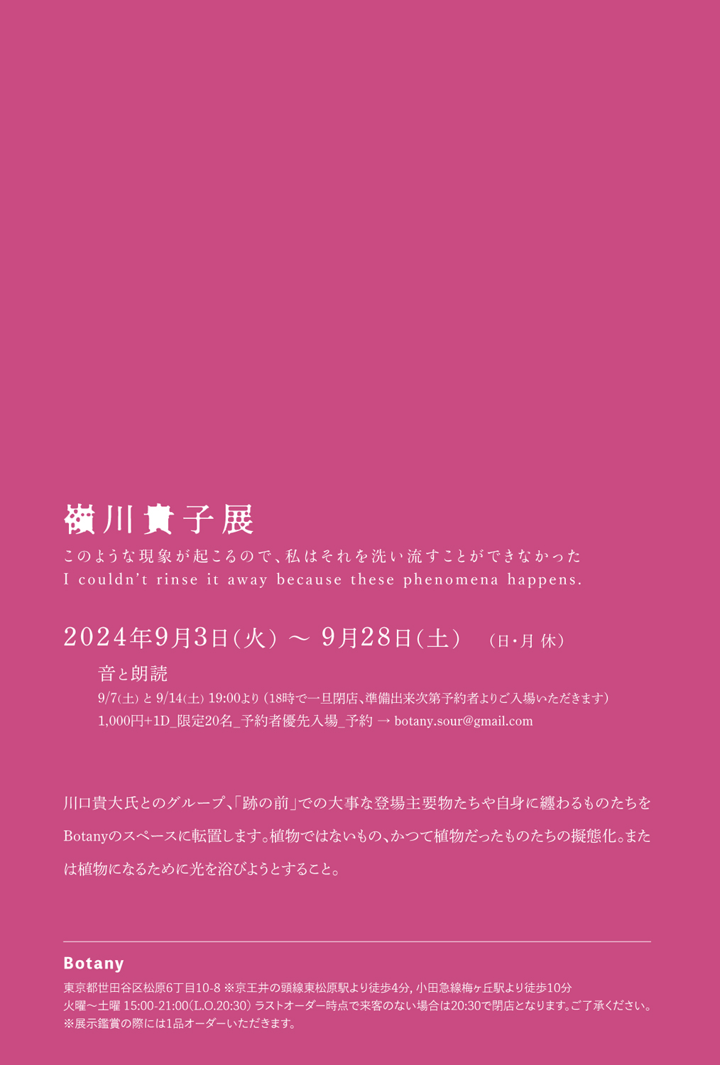 嶺川貴子 展 "このような現象が起こるので、私はそれを洗い流すことができなかった." I couldn't rinse it away because these phenomena happens.