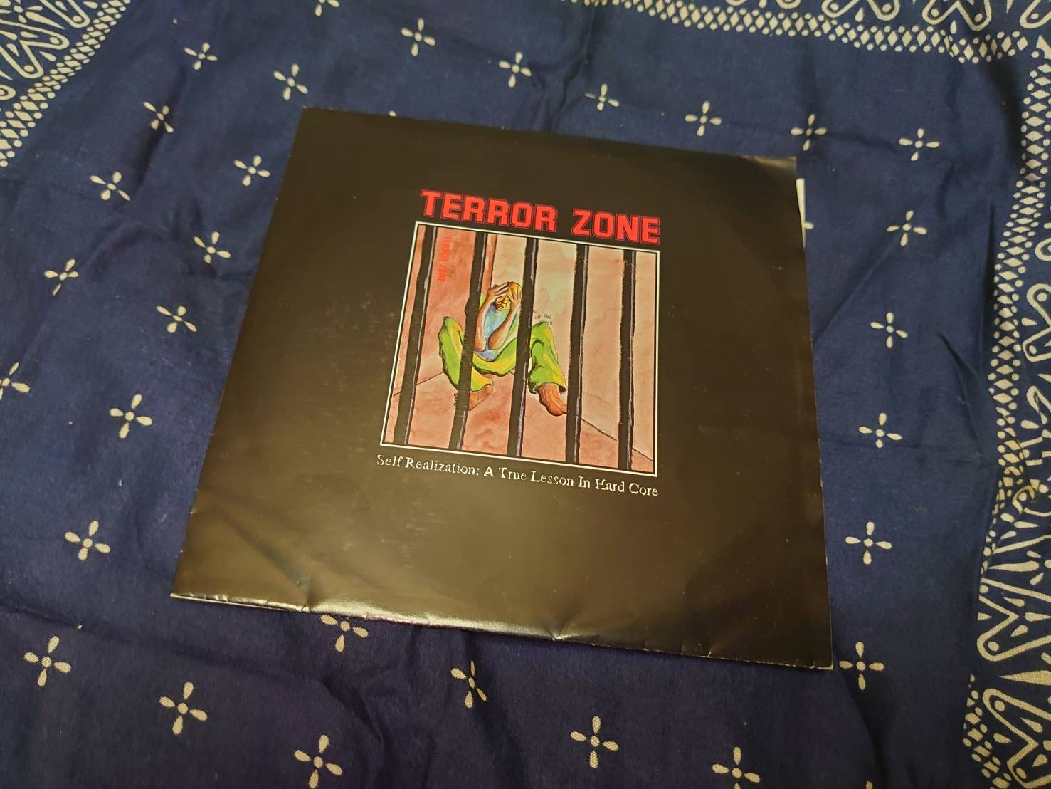 TERROR ZONE 'Self Realization: A True Lesson In Hard Core' 7"