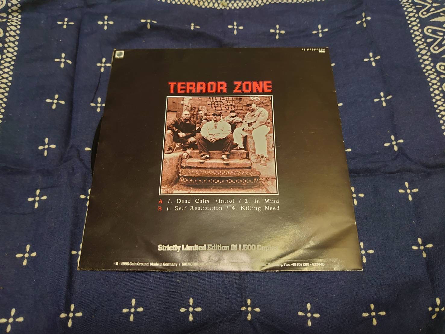 TERROR ZONE 'Self Realization: A True Lesson In Hard Core' 7"