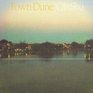 王舟『Town Dune』