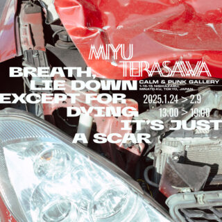 寺沢美遊「BREATH, LIE DOWN EXCEPT FOR DYING IT'S JUST A SCAR」