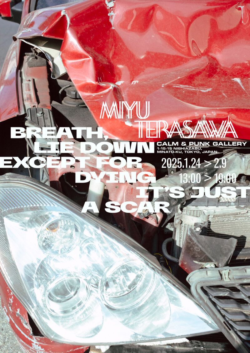 寺沢美遊「BREATH, LIE DOWN EXCEPT FOR DYING IT'S JUST A SCAR」