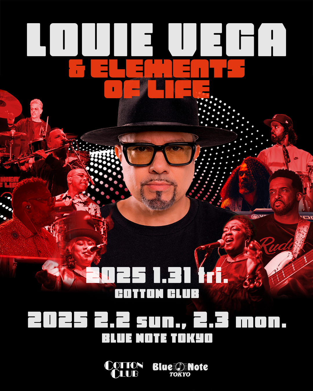 LOUIE VEGA & THE ELEMENTS OF LIFE