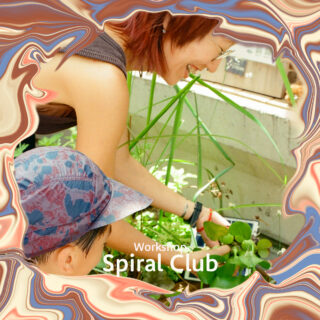 Spiral Club