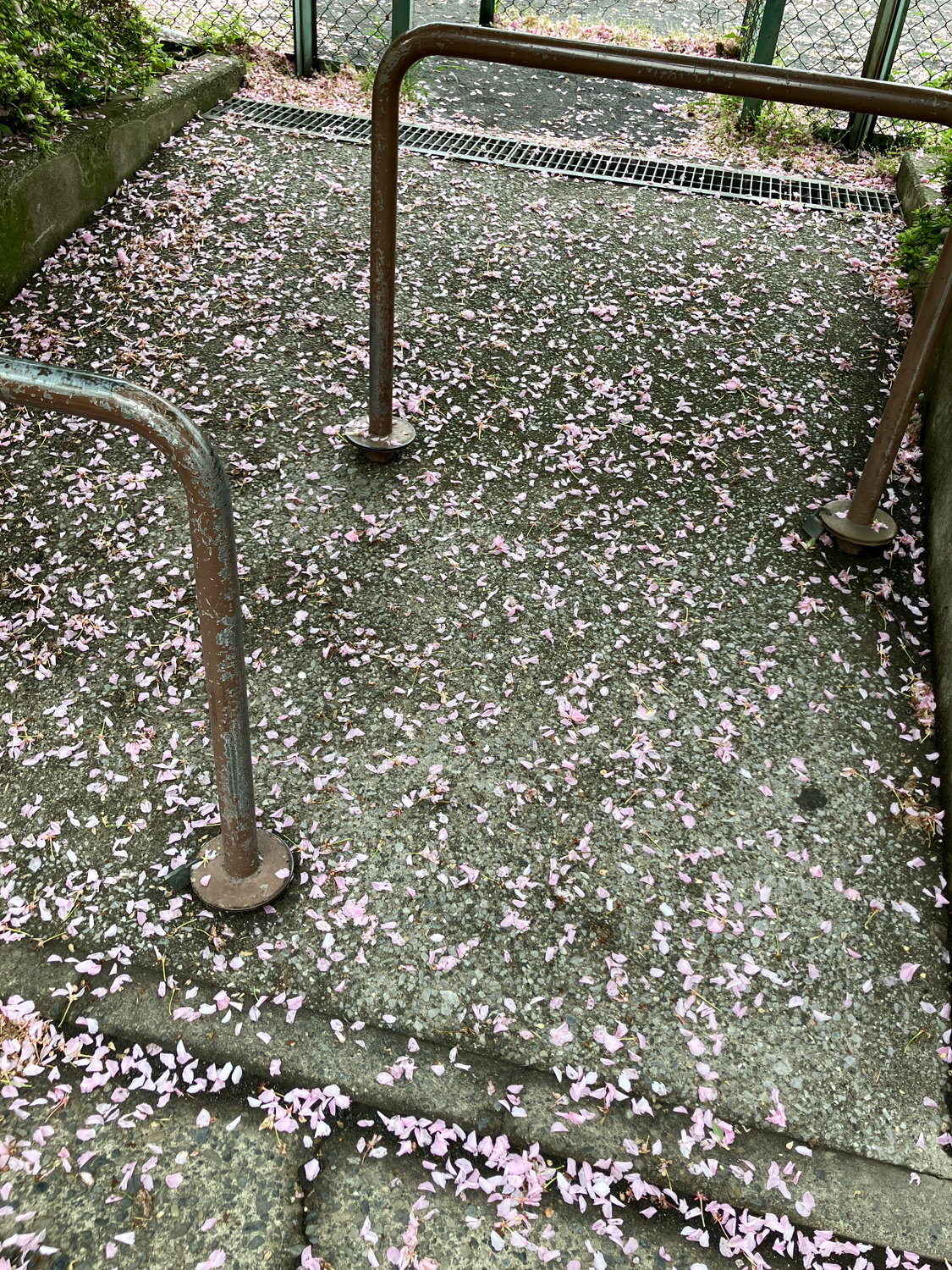 Photo ©コバヤシトシマサ