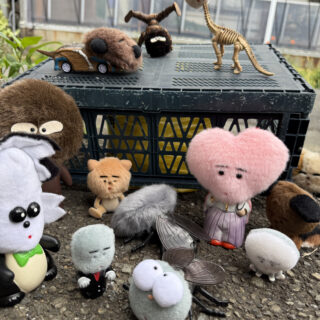 片岡メリヤス「ハエごめんなさい」