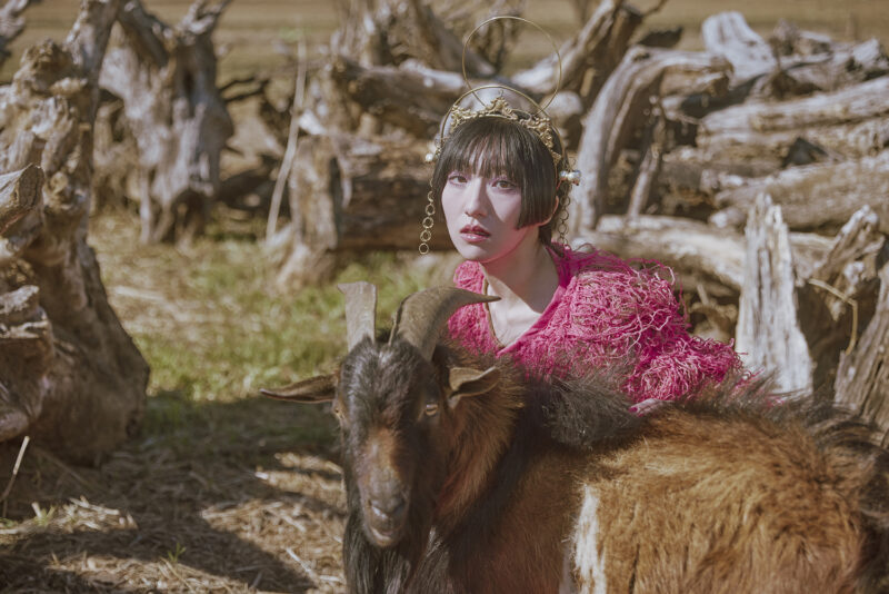 春ねむり | Photo ©藍