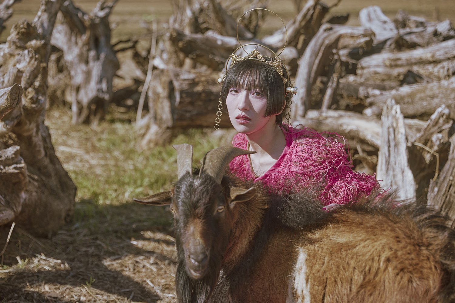 春ねむり | Photo ©藍