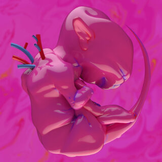 春ねむり 'ekkolaptómenos'