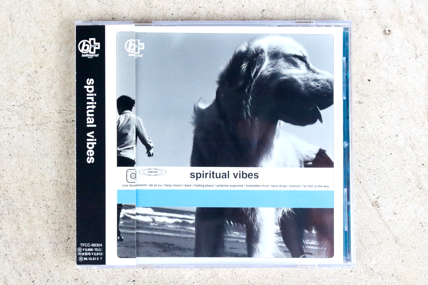 犬 OF TODAY | spiritual vibes『spiritual vibes』