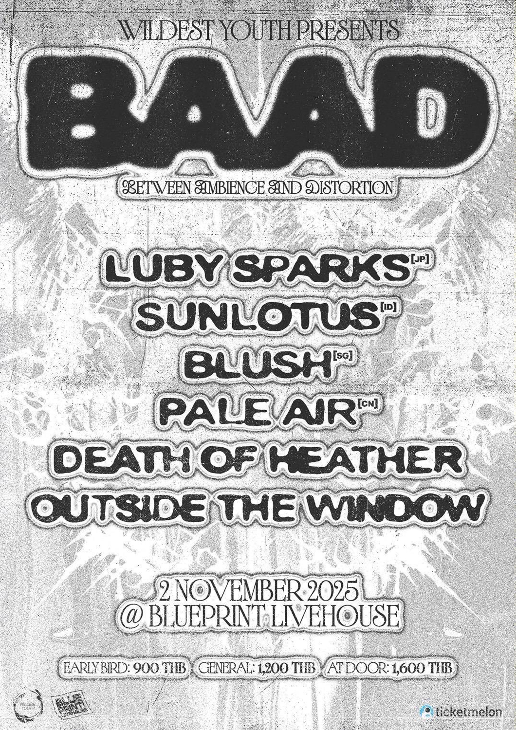  WILDEST YOUTH presents "BAAD: Between Ambience And Distortion"
