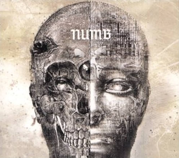 Numb 'Numb'