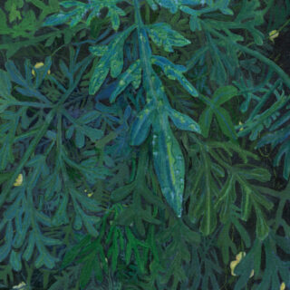 相川風子「隠された光」