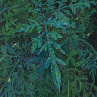 相川風子「隠された光」