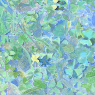 相川風子「隠された光」