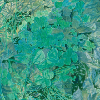 相川風子「隠された光」