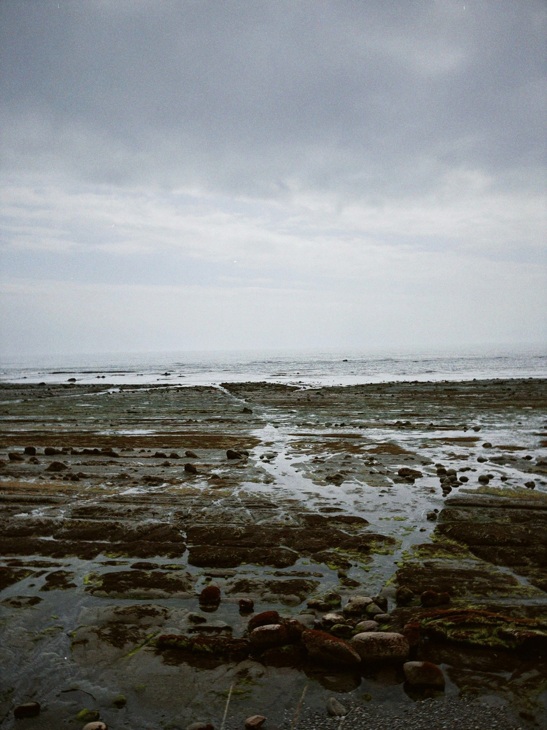 Photo ©玉田伸太郎