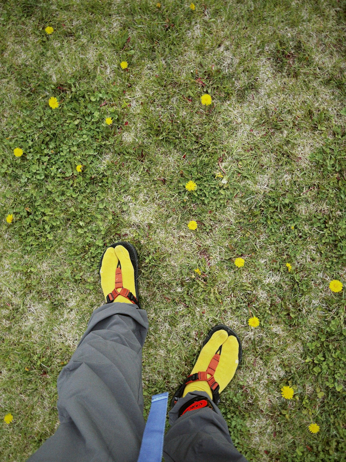 Photo ©玉田伸太郎