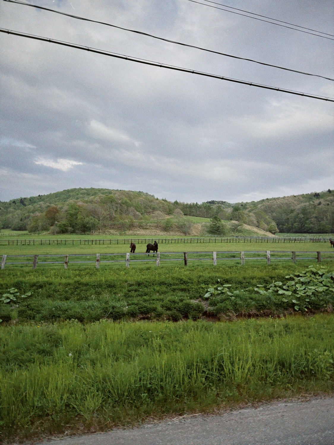 Photo ©玉田伸太郎