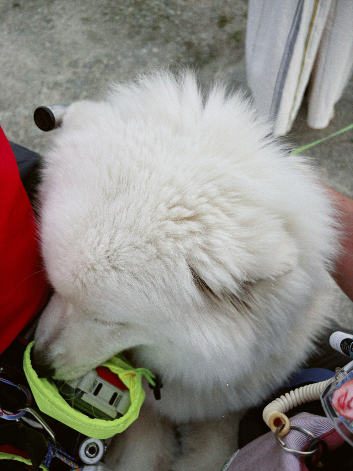 Photo ©玉田伸太郎