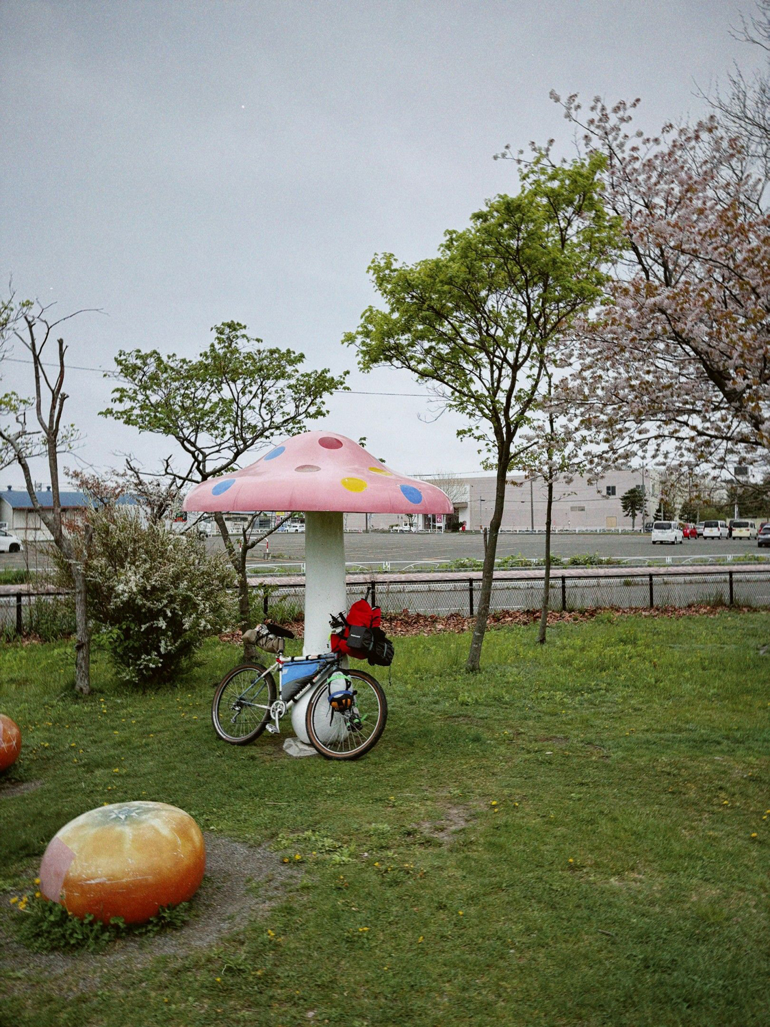 Photo ©玉田伸太郎