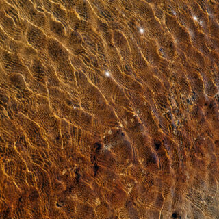 AmbiStock MUSIC | Photo ©Shintaro Yoshimatsu