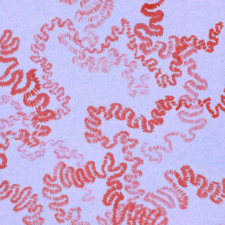 黒瀬正剛「Winding」