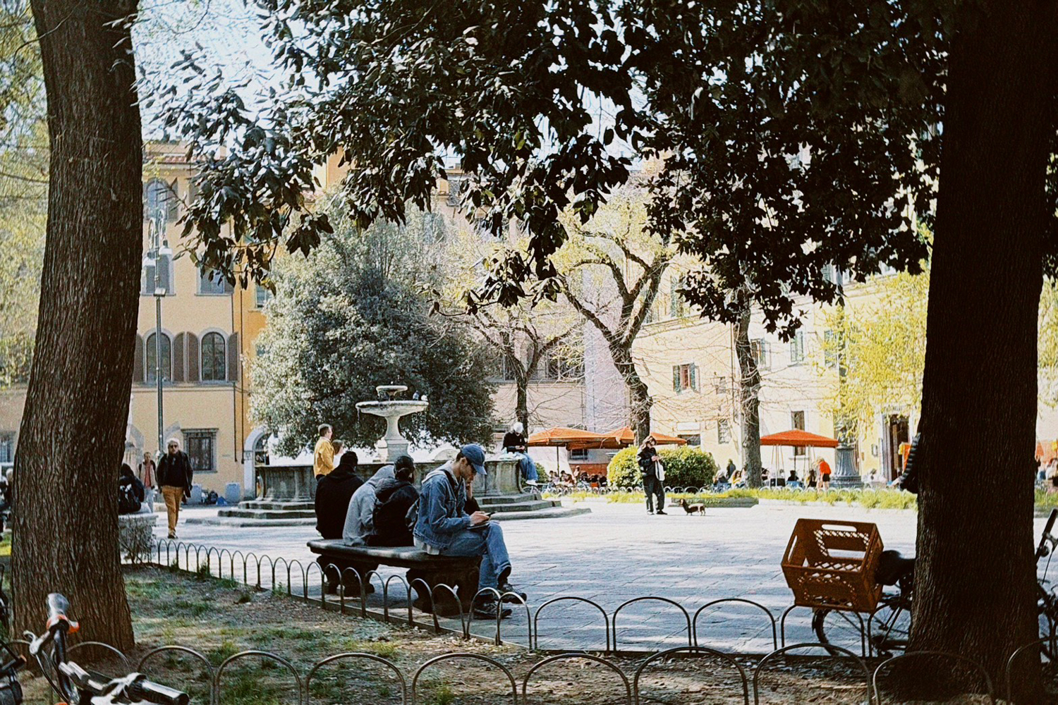 落ち着いた雰囲気のオルトラルノ | Photo ©田口杏奈