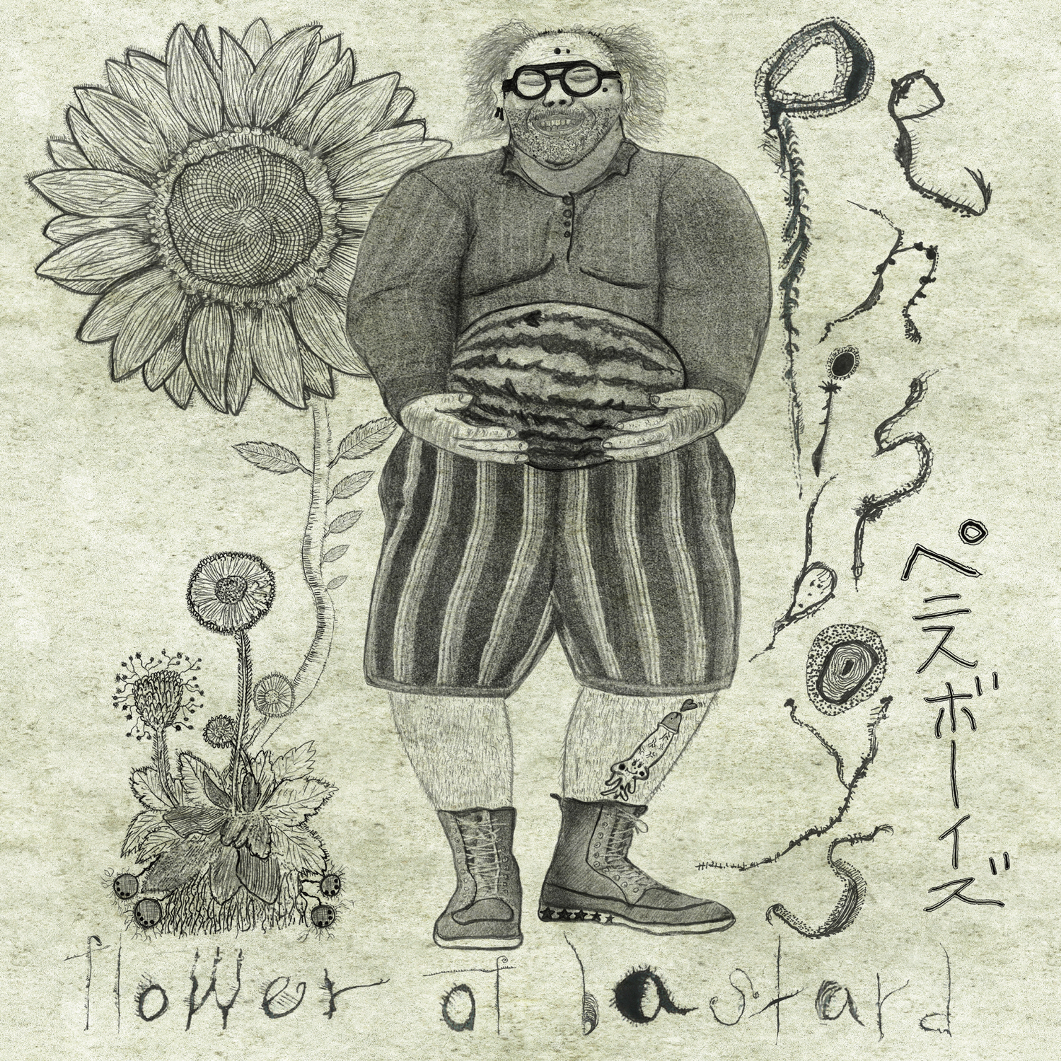 penisboys 'flower of bastard'