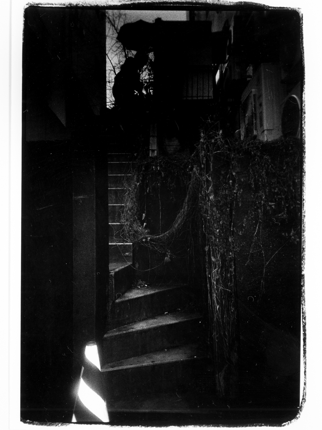 RKKR | Photo ©中嶋琉平